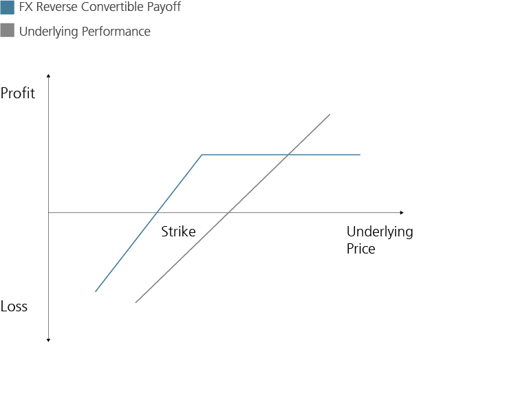 fx reverse convertible - barrier reverse convertible